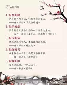搞笑古诗大爆料视频,搞笑古诗大爆料，古风幽默尽收眼底