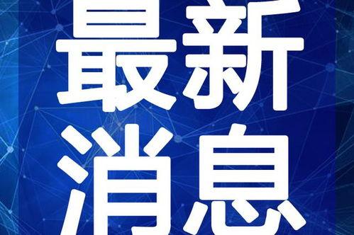 白鹭夺宝最新爆料视频大全,揭秘宝藏背后的神秘故事